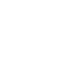 Experiencia